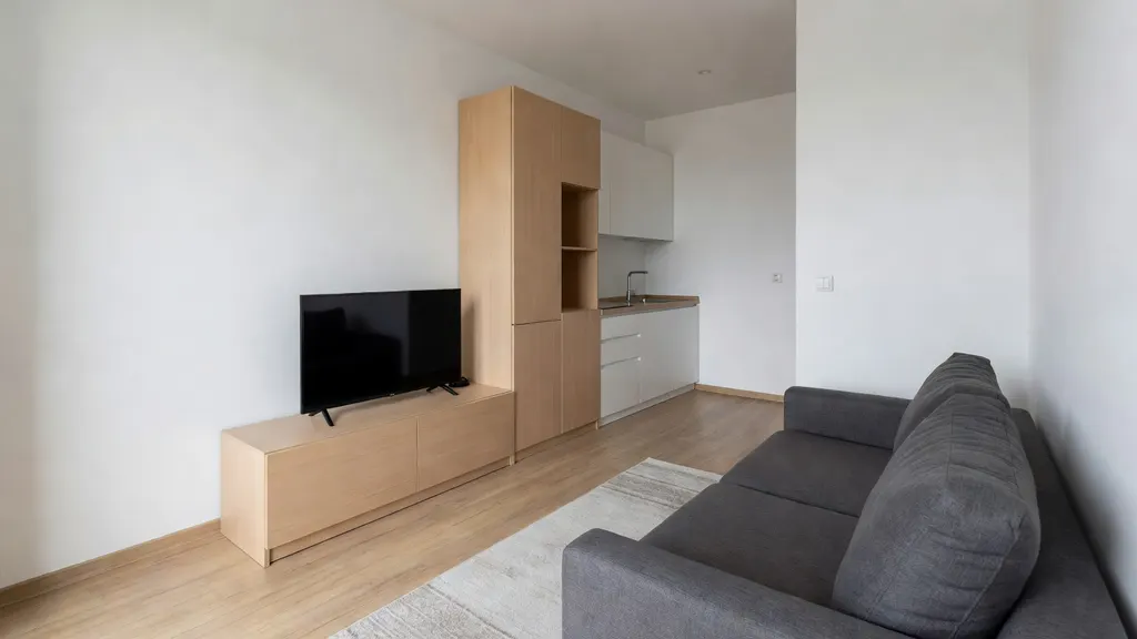 Jak urządzić salon z aneksem kuchennym o powierzchni 20 m²?